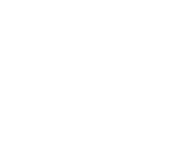 Plenum Multinational Investment Limited